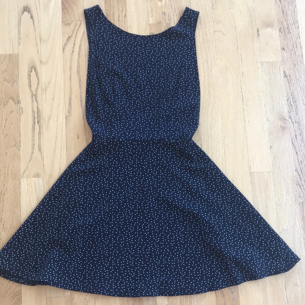 American Apparel Polka Dot Skater Dress